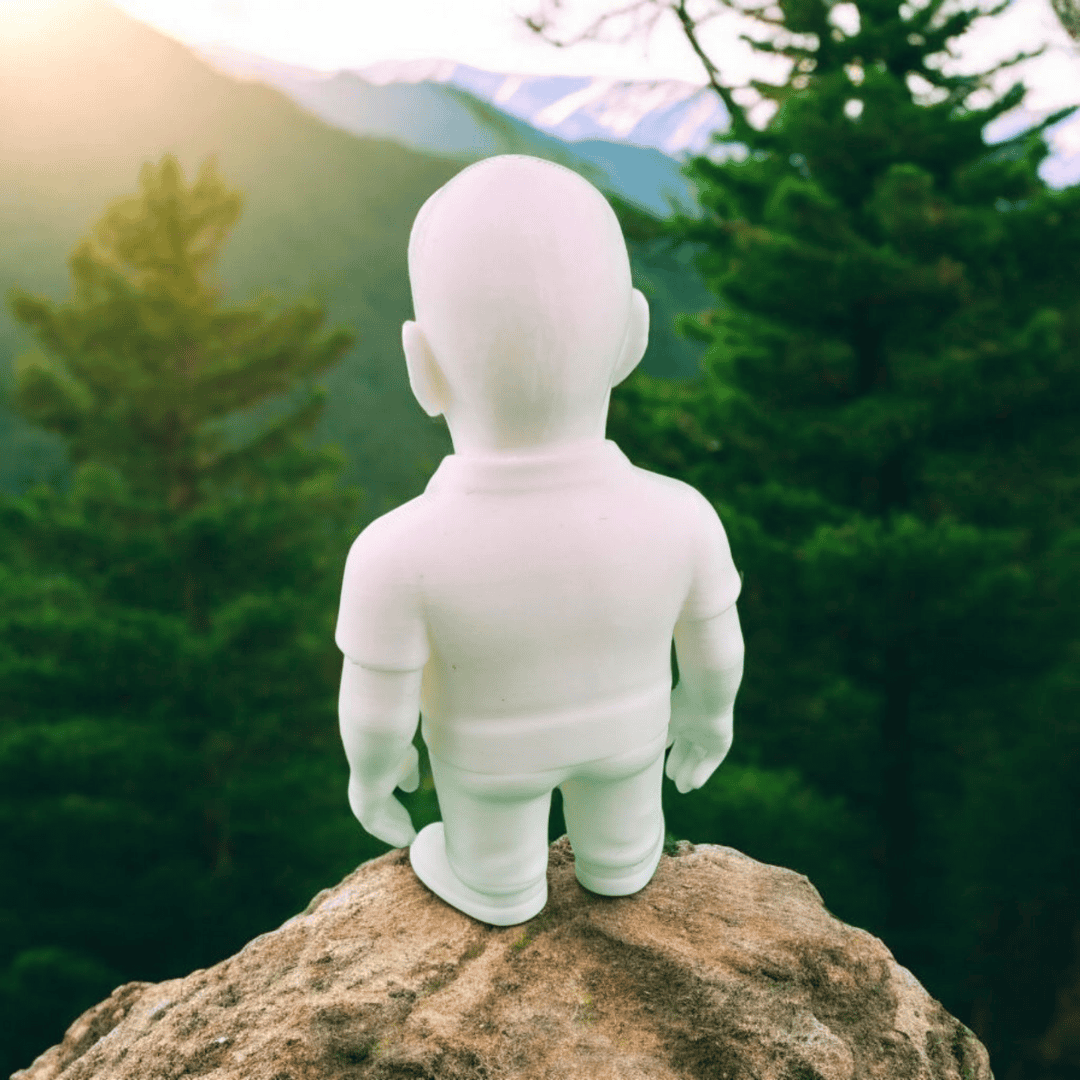 Individuelle 3D - gedruckte Cartoon Figur nach deinem Foto | Persönliches Sammlerstück - 